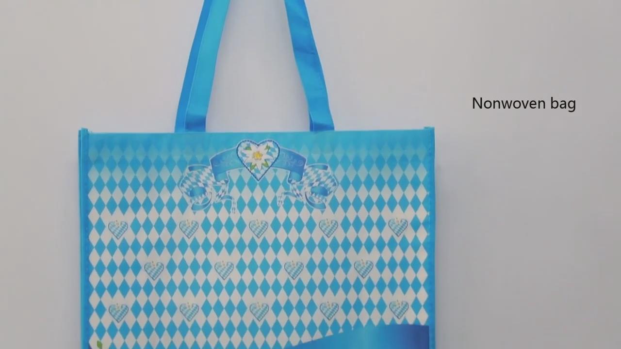 PP Laminated Non Woen Shopping Bag