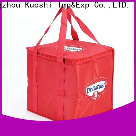 wholesale bag with cooler cooler factory for picnic