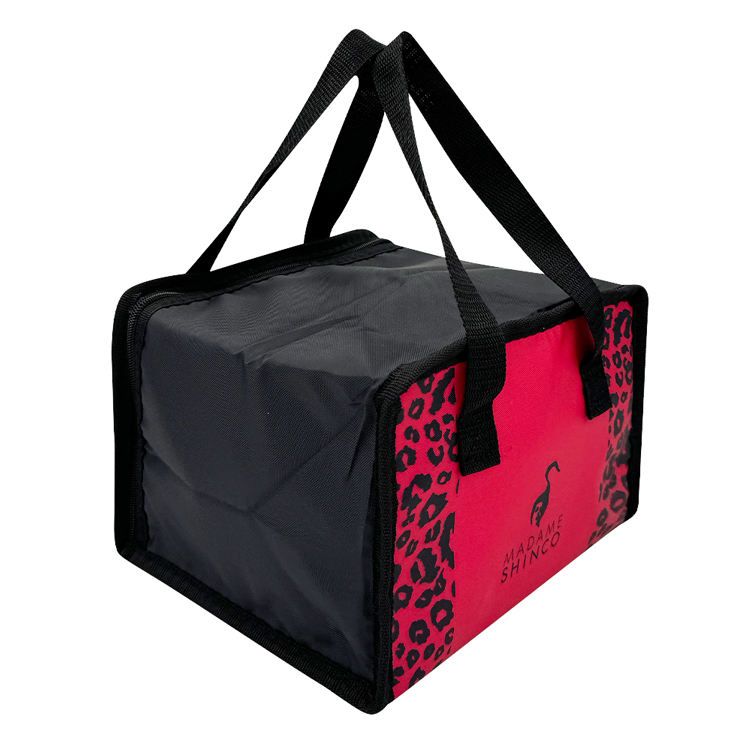 New Arrival Large Capacity Picnic Lunch Insulated Thermal Cake Non Woven Cooler Bags for Lunch Boxes